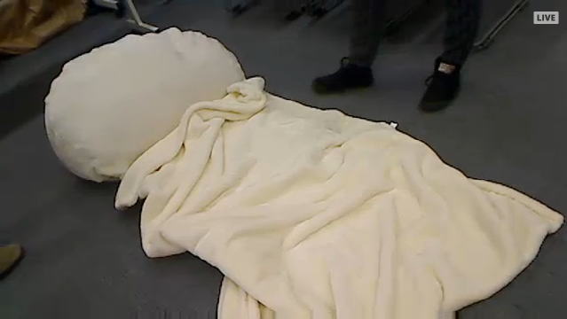 うたた寝クッション