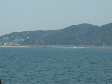 海