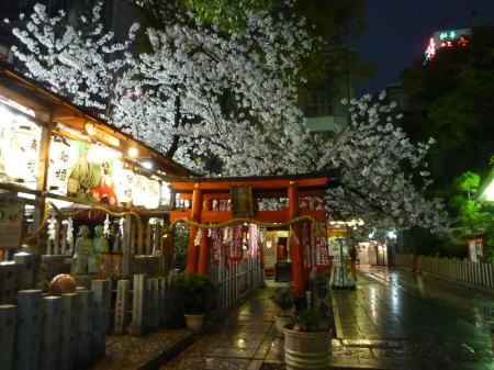 玉津稲荷の桜
