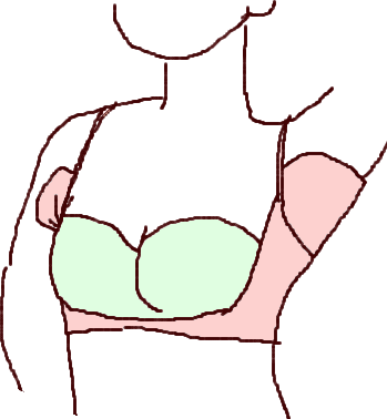 ハーフインナー着用図