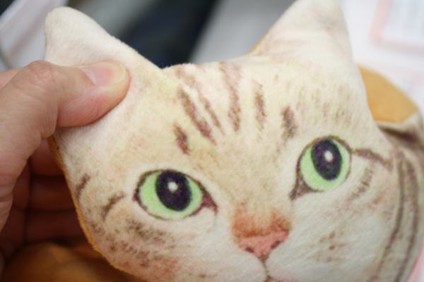 猫の表情