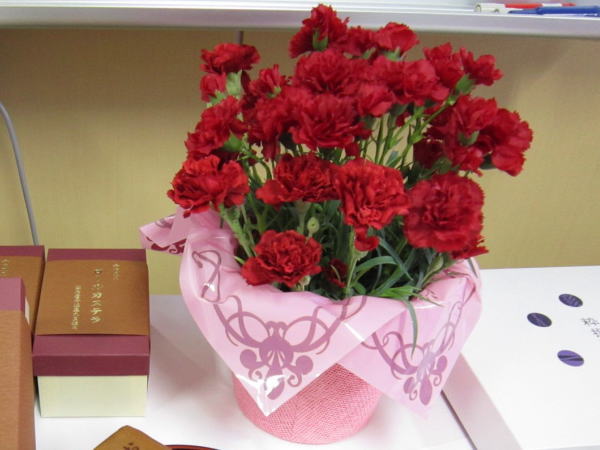 赤いカーネーションの花鉢