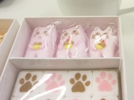猫シュガーと肉球シュガー