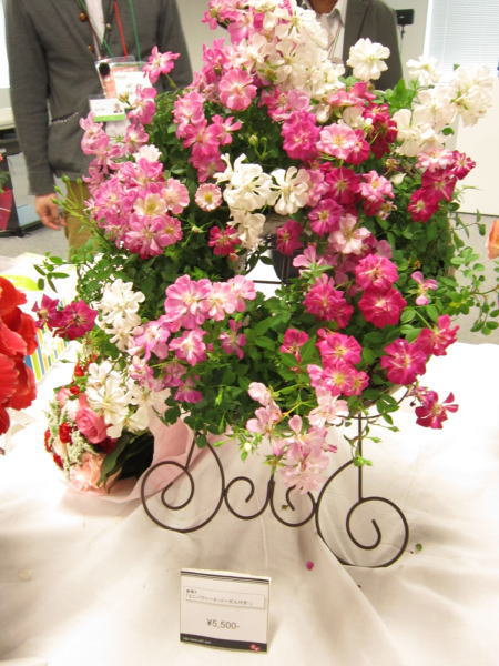 レンゲローズの花鉢