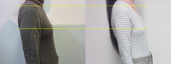 横・比較
