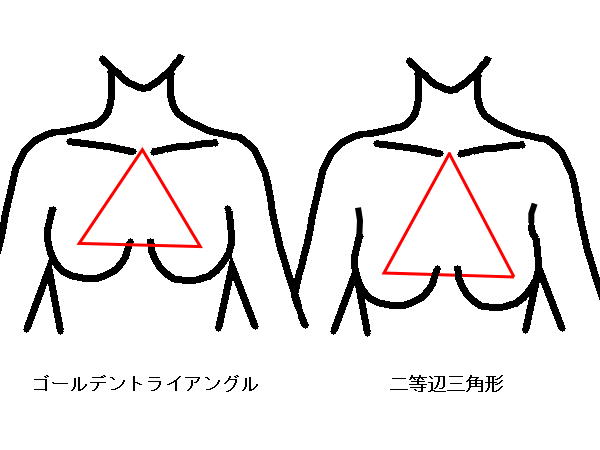 ブラデリスのブラをつけると胸が大きくなる その原因は胸の構造と特徴にあり 日々歳々