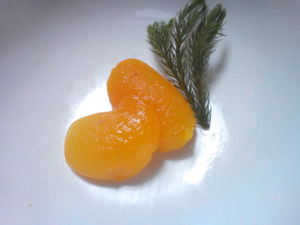 杏子煮