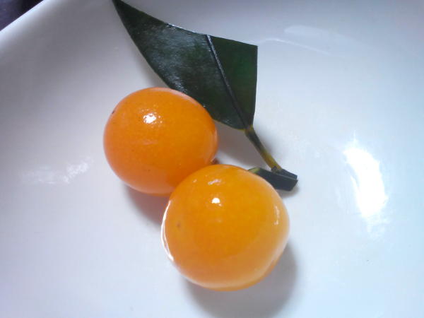葉付金柑と金柑