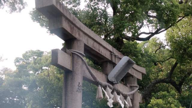 神社の鳥居